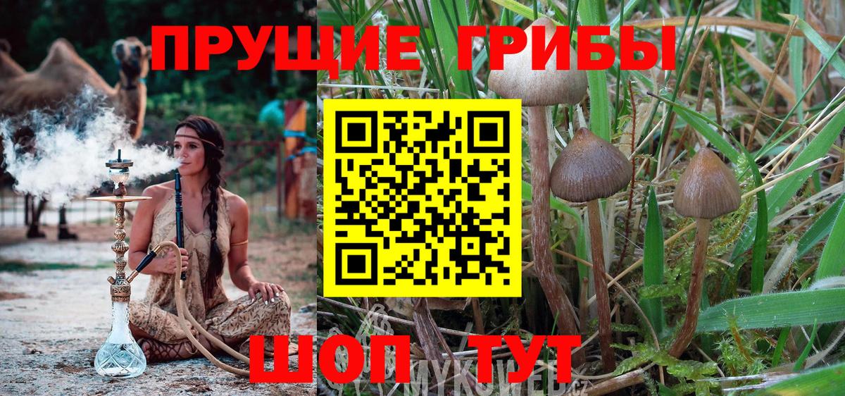 Псилоцибиновые грибы мухоморы Нижневартовск