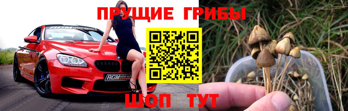Галлюциногенные грибы Cubensis  Вход с VPN  Нижневартовск 